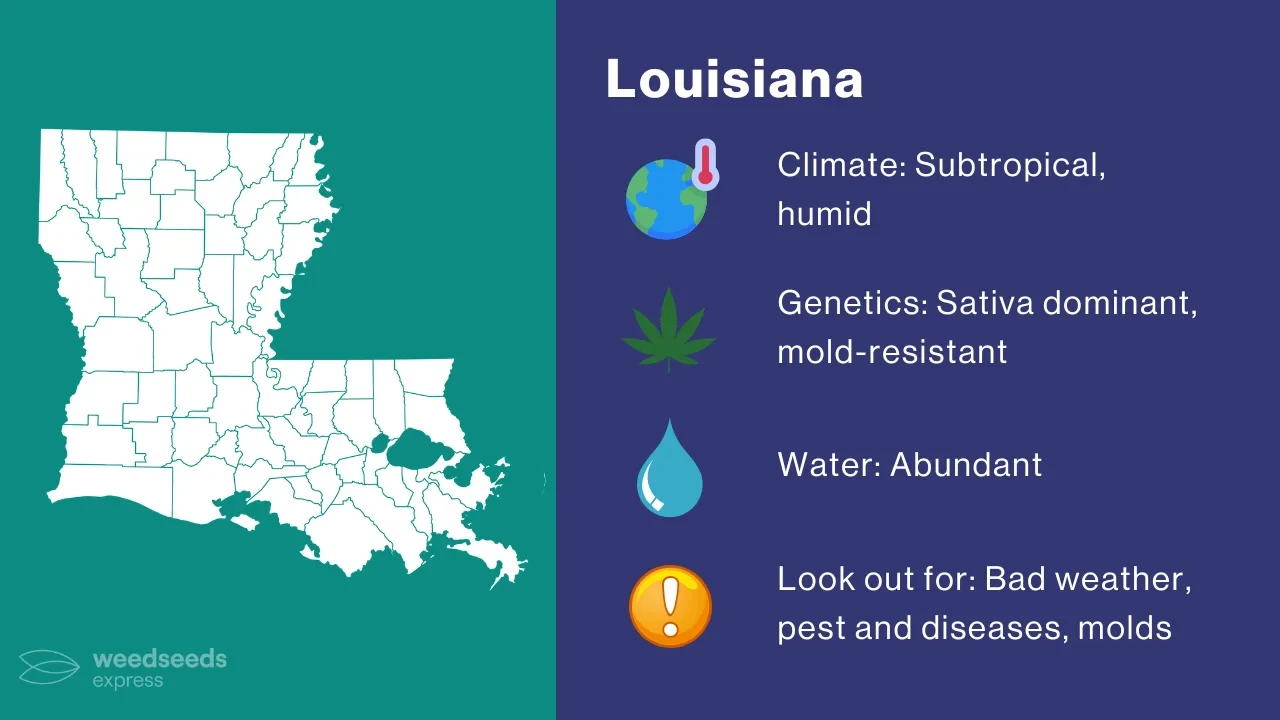 Cannabis Growing Climate in Louisiana